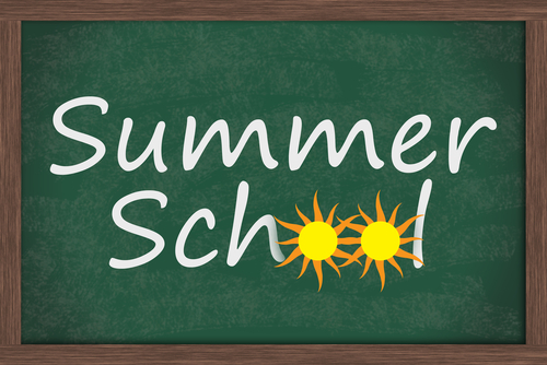 Summer School image