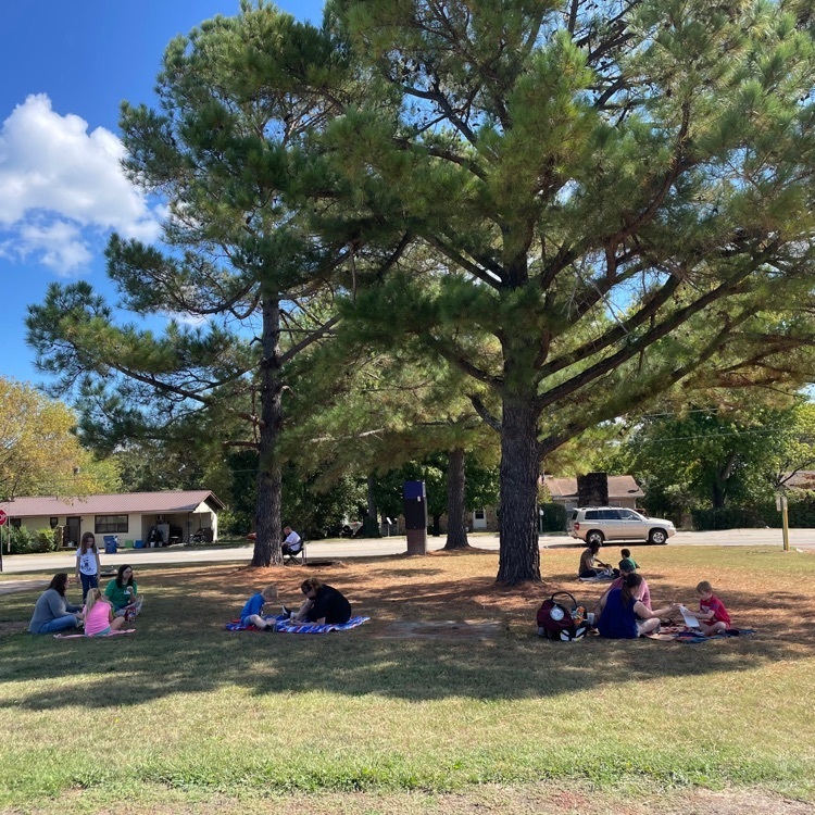 Families picnicking on the lawn