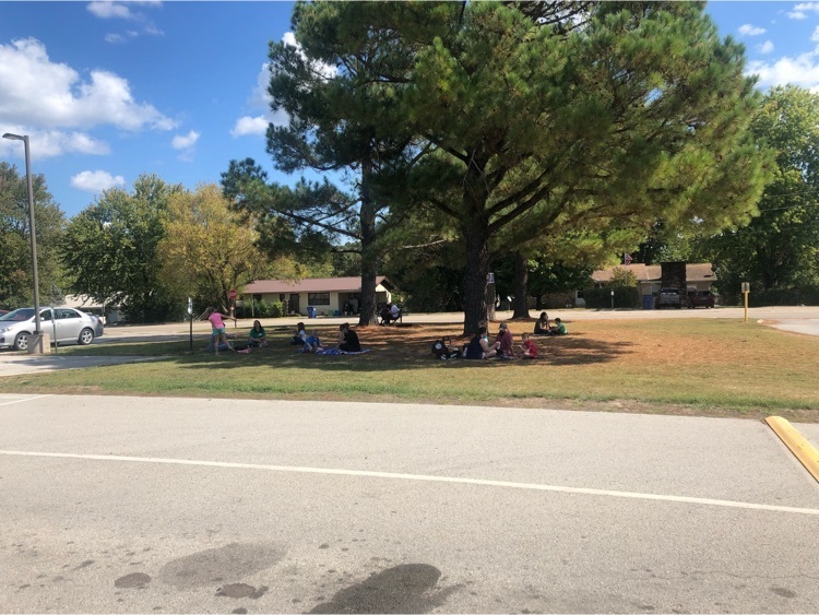 Families picnicking at NWH