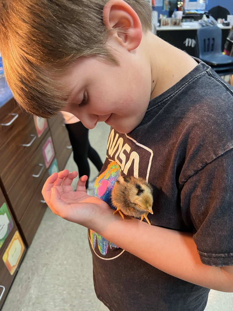a kid holding a baby chick