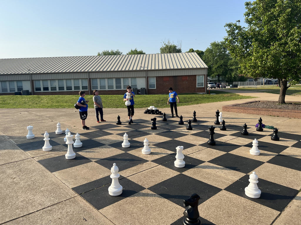 Students playing chess at picnic on the grounds