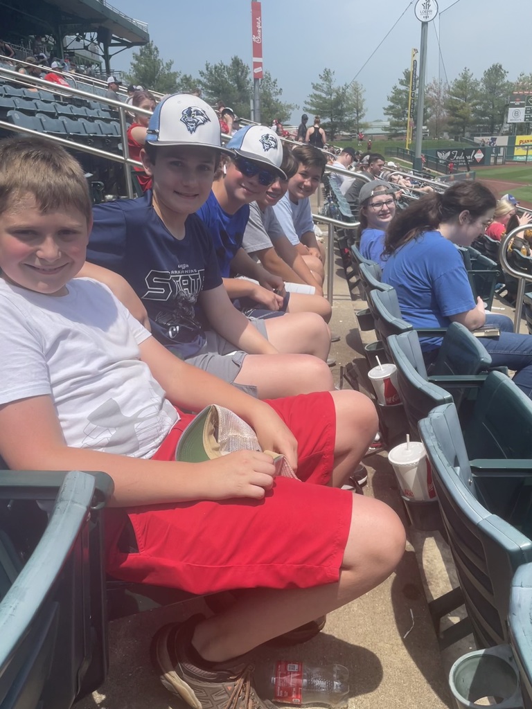 kids at a springfield cardinal baseball game